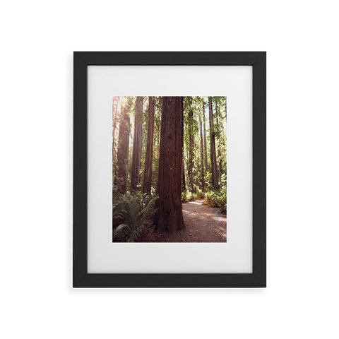 Bree Madden Redwoods Framed Art Print