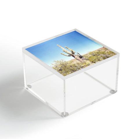 Bree Madden Saguaro Acrylic Box
