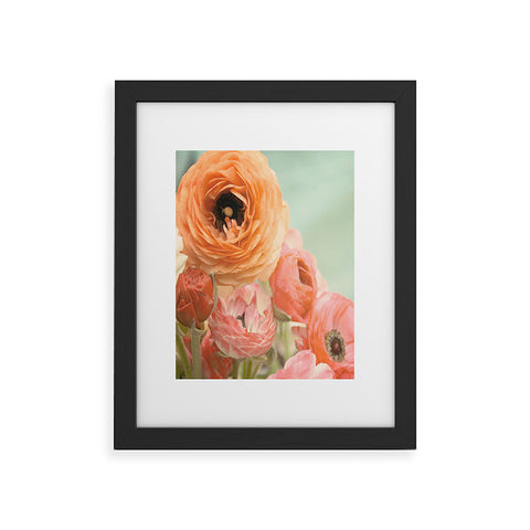 Bree Madden Spring Ranunculus Framed Art Print