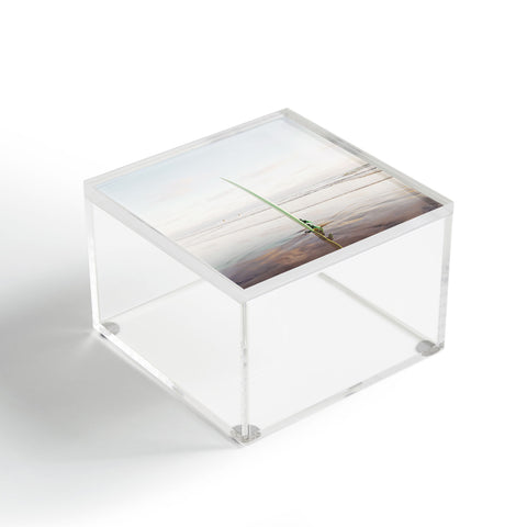 Bree Madden Surf Dayz Acrylic Box