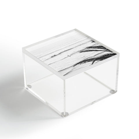 Bree Madden Surf Palms Acrylic Box