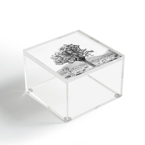 Bree Madden The Desert Acrylic Box