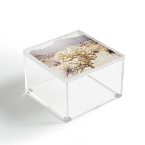 Bree Madden Thorn Acrylic Box