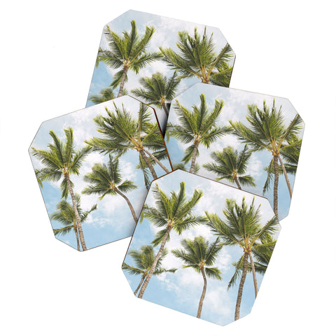 Bree Madden Tropic Palms Coaster Set