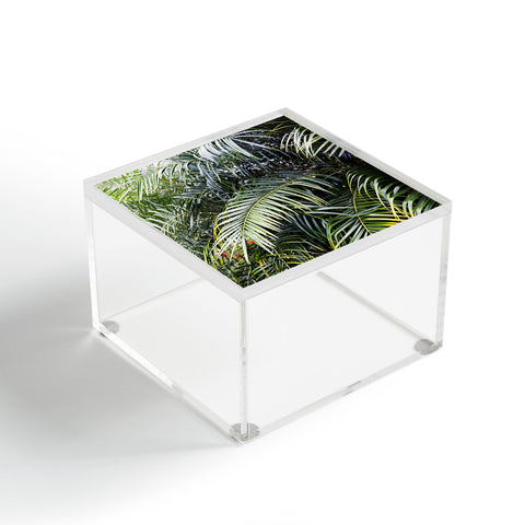 Bree Madden Tropical Jungle Acrylic Box