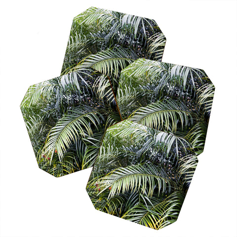 Bree Madden Tropical Jungle Coaster Set