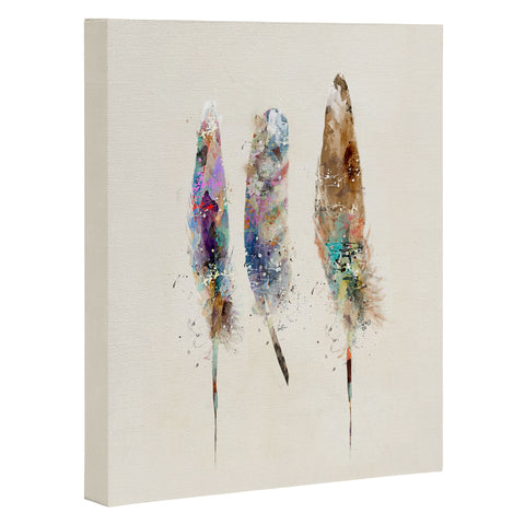 Brian Buckley free feathers Art Canvas