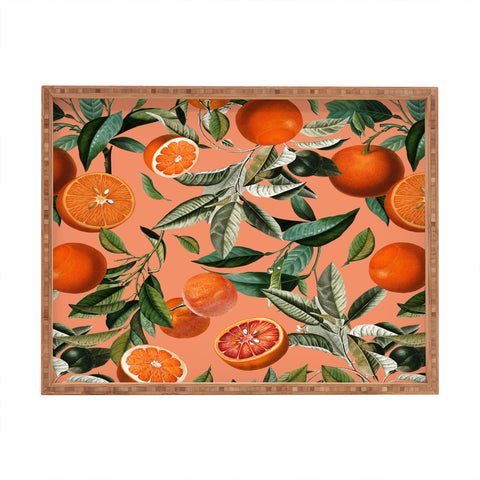 Burcu Korkmazyurek Vintage Fruit Pattern XII Rectangular Tray