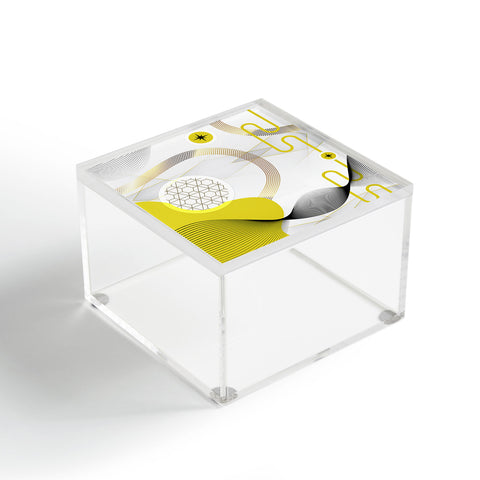 Caroline Okun Yellow Shine Acrylic Box