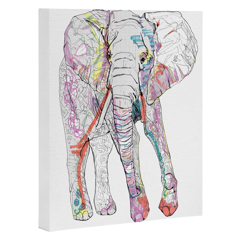 Casey Rogers Elephant 1 Art Canvas