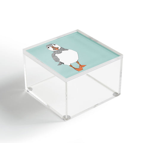 Casey Rogers Puffin 2 Acrylic Box