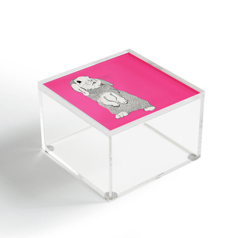 Casey Rogers Rabbit Acrylic Box