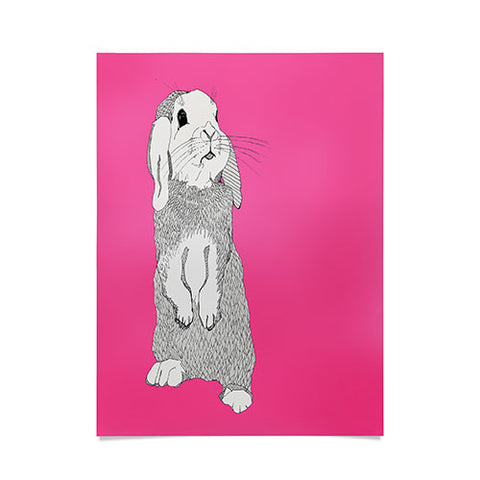 Casey Rogers Rabbit Poster