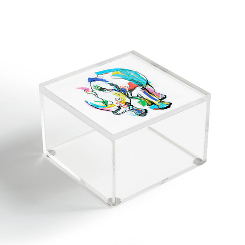 Casey Rogers Rhino Color Acrylic Box