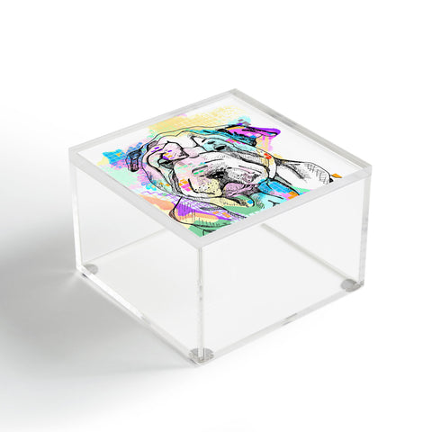 Casey Rogers Sharpei Acrylic Box