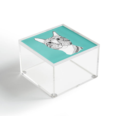 Casey Rogers Tabby Cat Acrylic Box