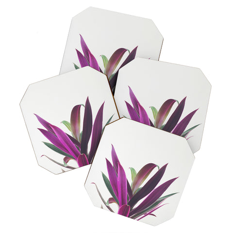 Cassia Beck Boat Lily Coaster Set