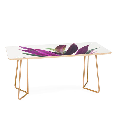 Cassia Beck Boat Lily Coffee Table