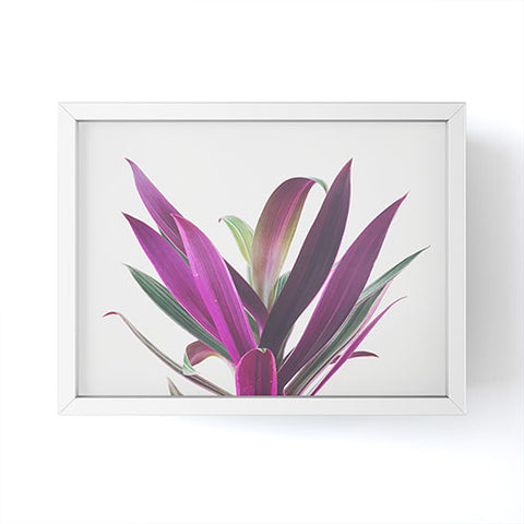 Cassia Beck Boat Lily Framed Mini Art Print