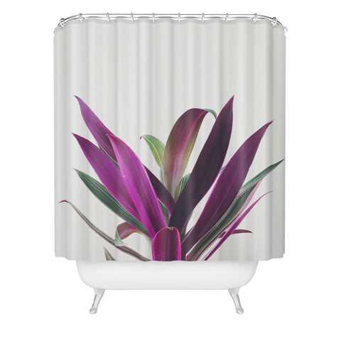 Cassia Beck Boat Lily Shower Curtain
