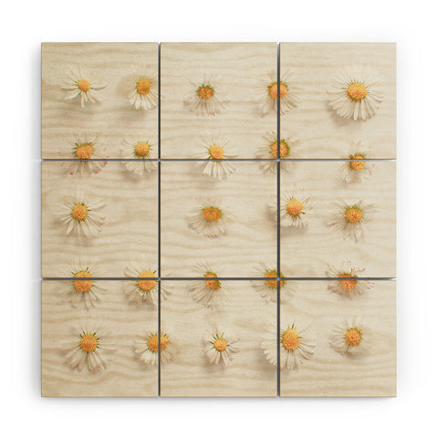 Cassia Beck Daisy Collection Wood Wall Mural