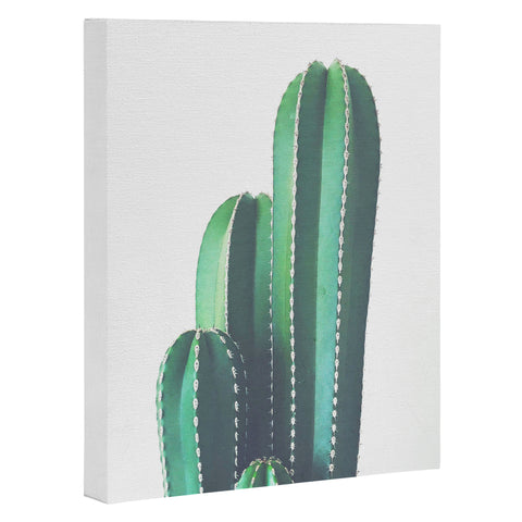 Cassia Beck Organ Pipe Cactus Art Canvas