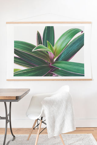 Cassia Beck Oyster Plant Art Print And Hanger