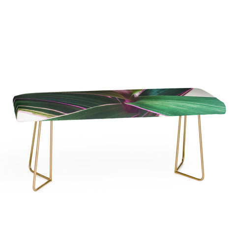 Cassia Beck Oyster Plant Bench