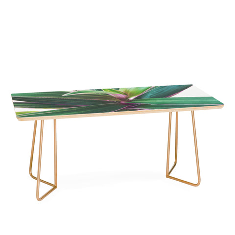 Cassia Beck Oyster Plant Coffee Table