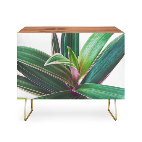 Cassia Beck Oyster Plant Credenza