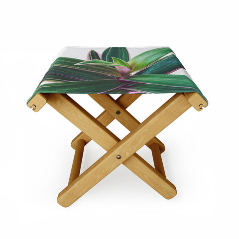 Cassia Beck Oyster Plant Folding Stool