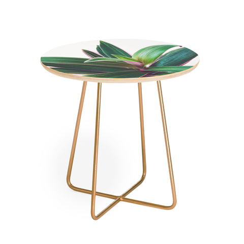 Cassia Beck Oyster Plant Round Side Table