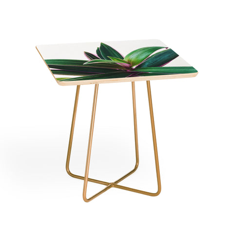Cassia Beck Oyster Plant Side Table