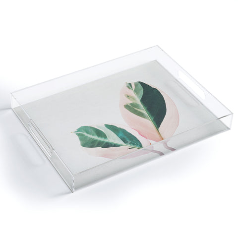Cassia Beck Pink Leaves I Acrylic Tray