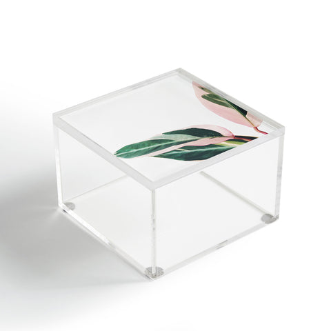 Cassia Beck Pink Leaves II Acrylic Box