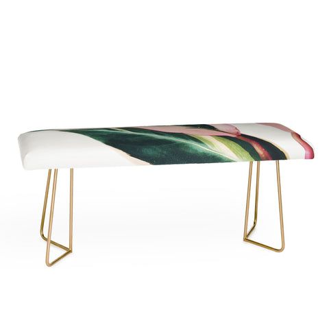 Cassia Beck Pink Leaves II Bench
