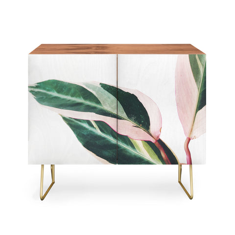Cassia Beck Pink Leaves II Credenza