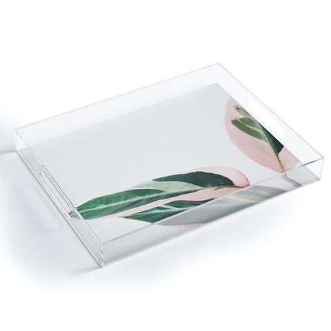 Cassia Beck Pink Leaves II Acrylic Tray
