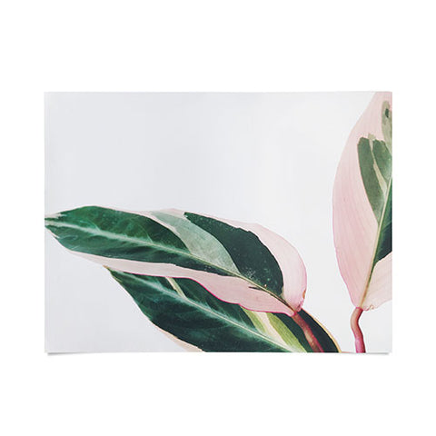 Cassia Beck Pink Leaves II Poster