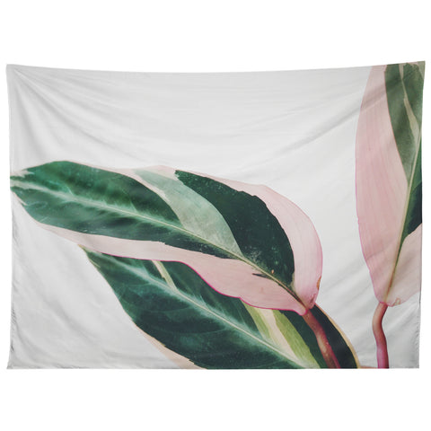 Cassia Beck Pink Leaves II Tapestry