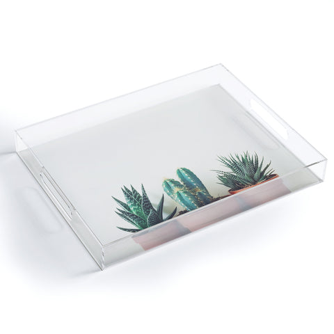 Cassia Beck Potted Plants Acrylic Tray