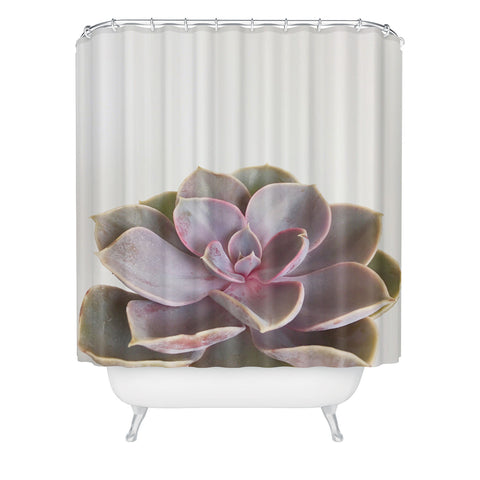 Cassia Beck Purple Succulent Shower Curtain