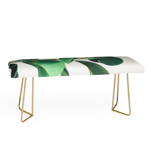 Cassia Beck Rubber Fig Bench