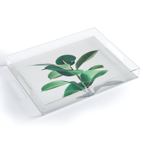 Cassia Beck Rubber Fig Acrylic Tray