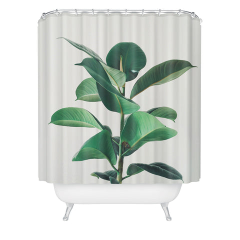 Cassia Beck Rubber Fig Shower Curtain