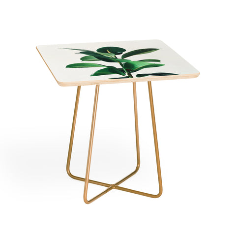 Cassia Beck Rubber Fig Side Table