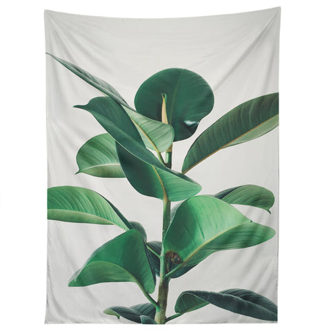 Cassia Beck Rubber Fig Tapestry
