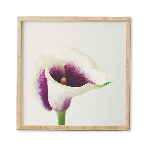 Cassia Beck The Calla Lily Framed Wall Art