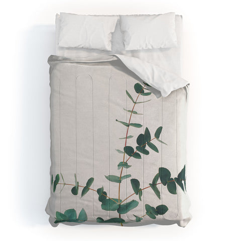 Cassia Beck The Eucalyptus Comforter