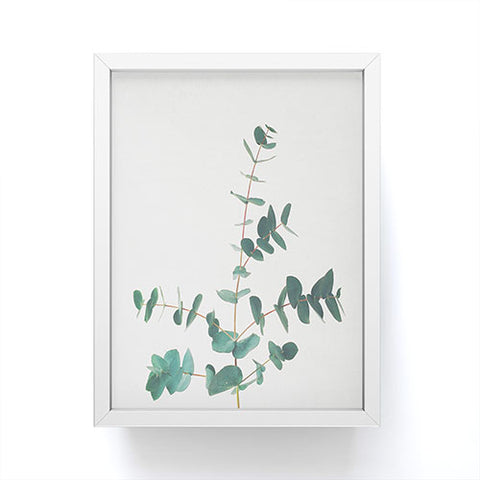 Cassia Beck The Eucalyptus Framed Mini Art Print